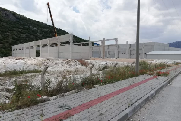 Agamer-Fotoğraf-2